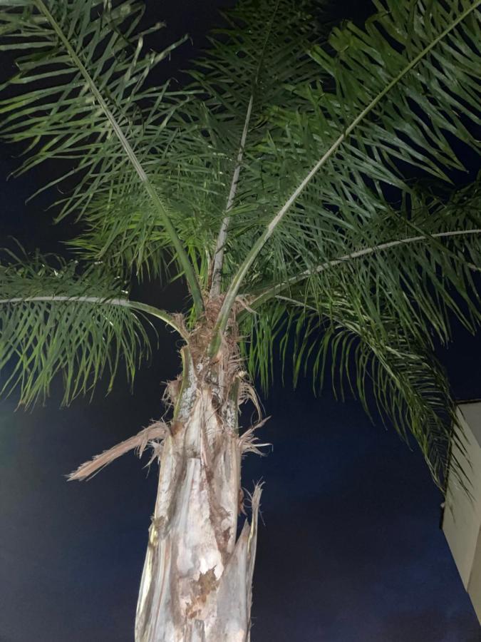 Ancora Del Salento Βίλα Λέτσε Εξωτερικό φωτογραφία